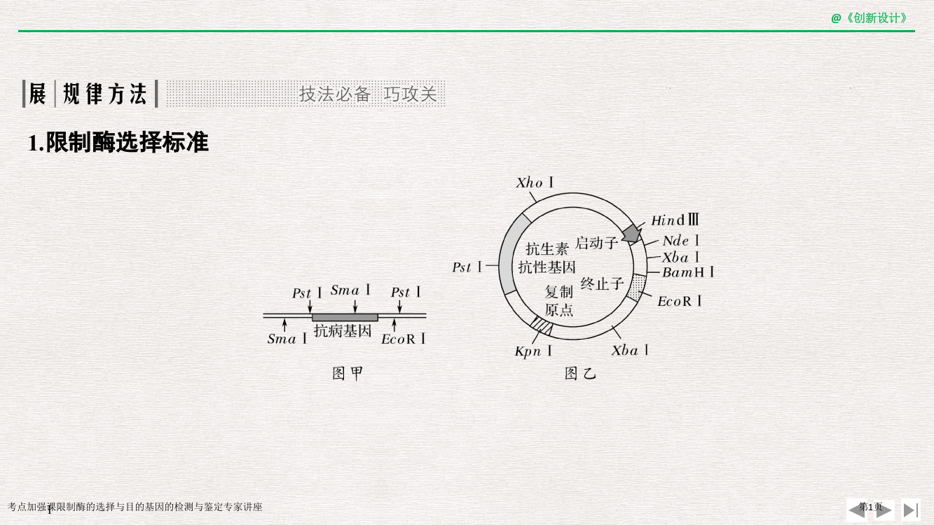 考点加强课限制酶的选择与目的基因的检测与鉴定专家讲座