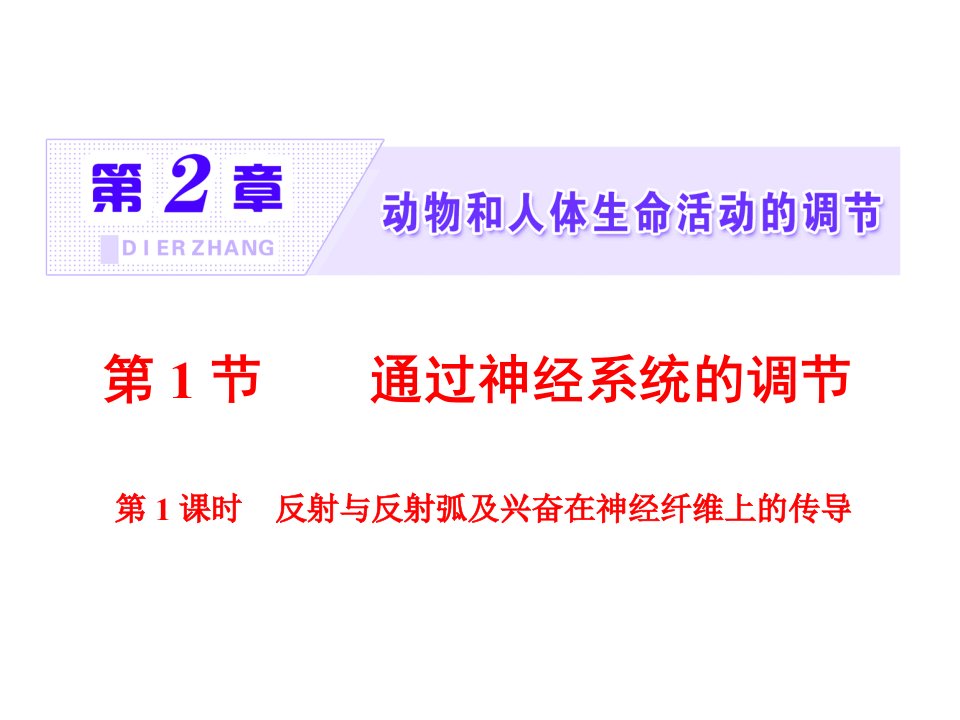 新人教必修3高中生物ppt课件：反射与反射弧及兴奋在神经纤维上的传导