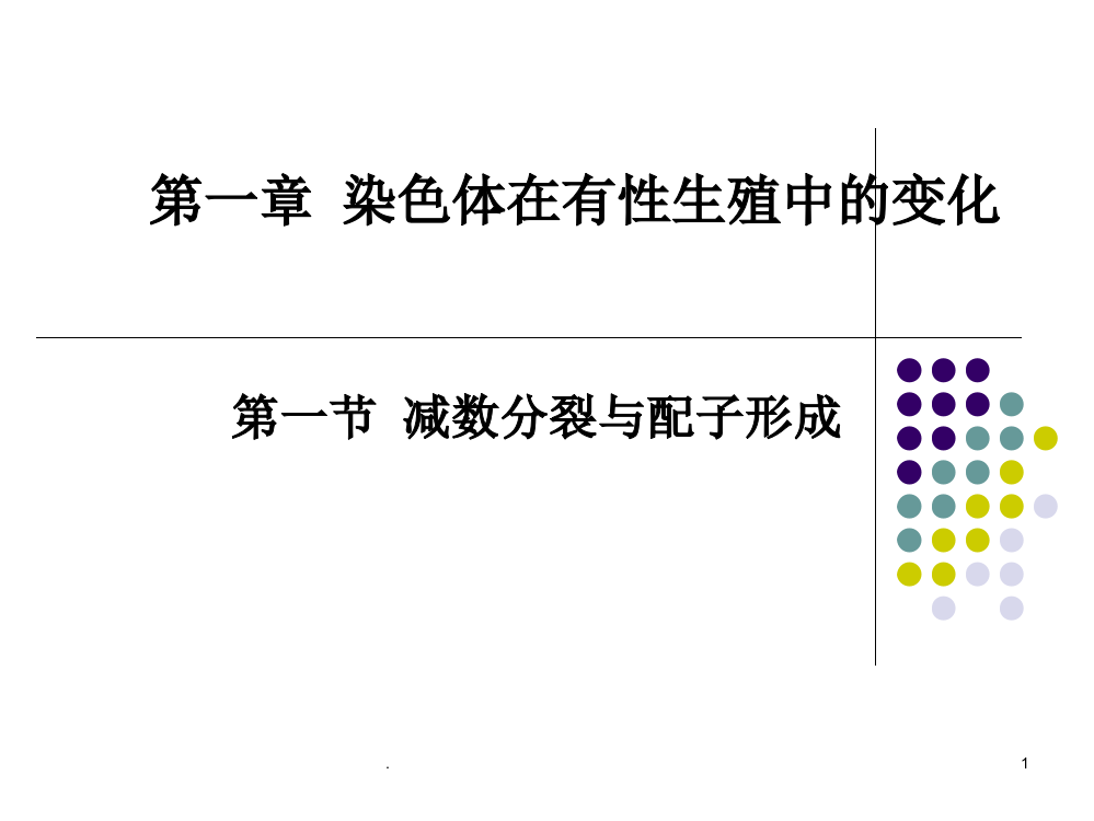 高二生物减数分裂PPT课件