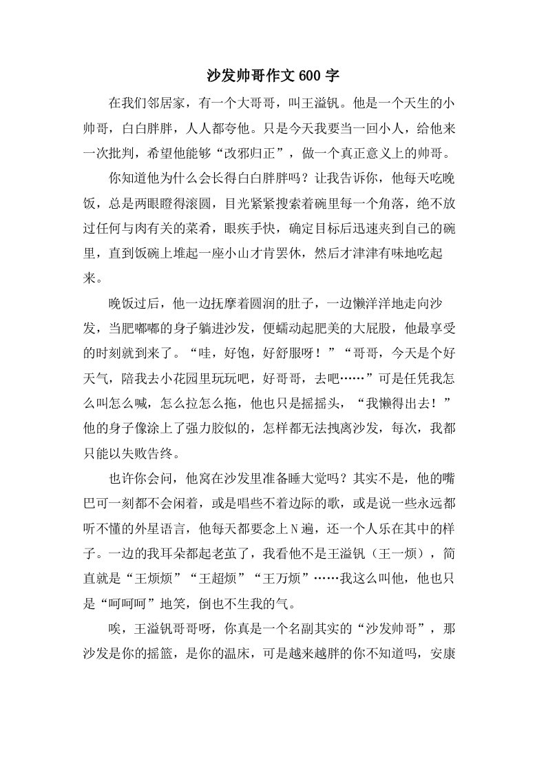 沙发帅哥作文600字