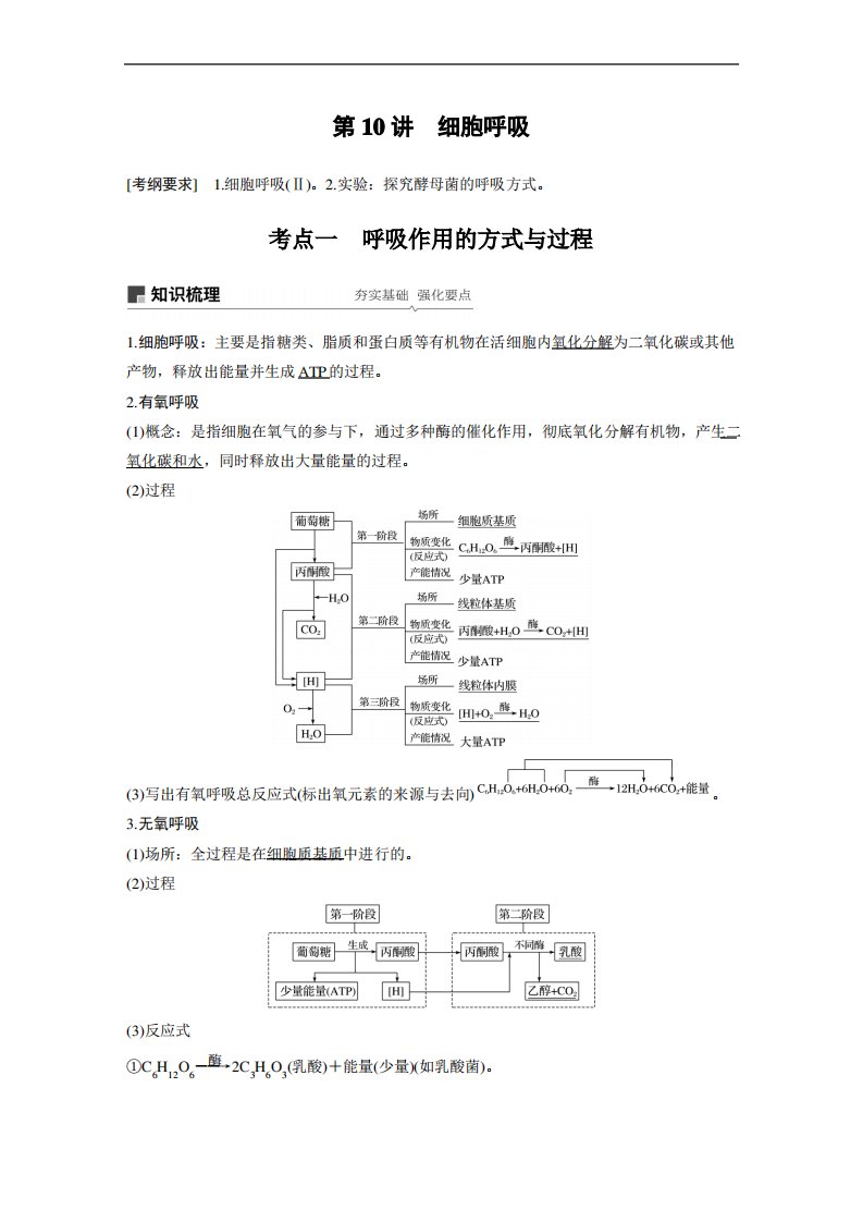 2020届高三一轮复习备考生物苏教专版一体资料讲义：第三单元