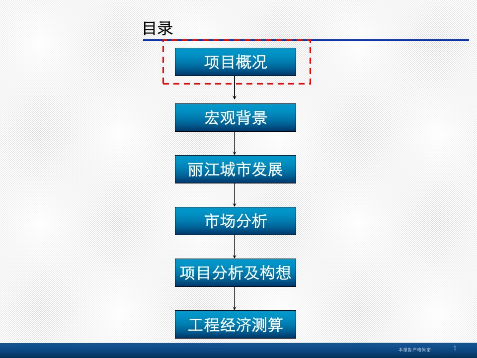 丽江项目可行性分析报告