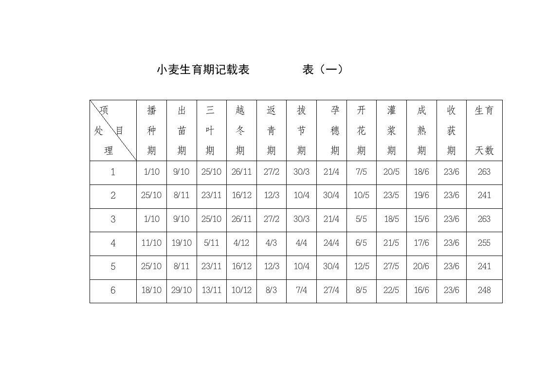 小麦试验记载表