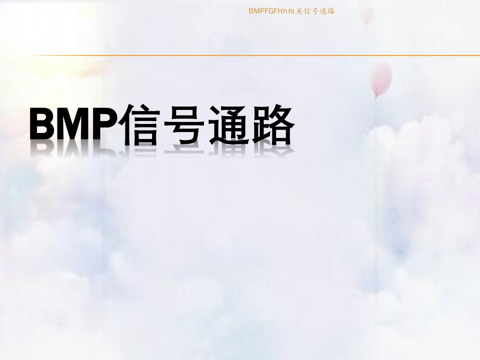 BMPFGFHh相关信号通路