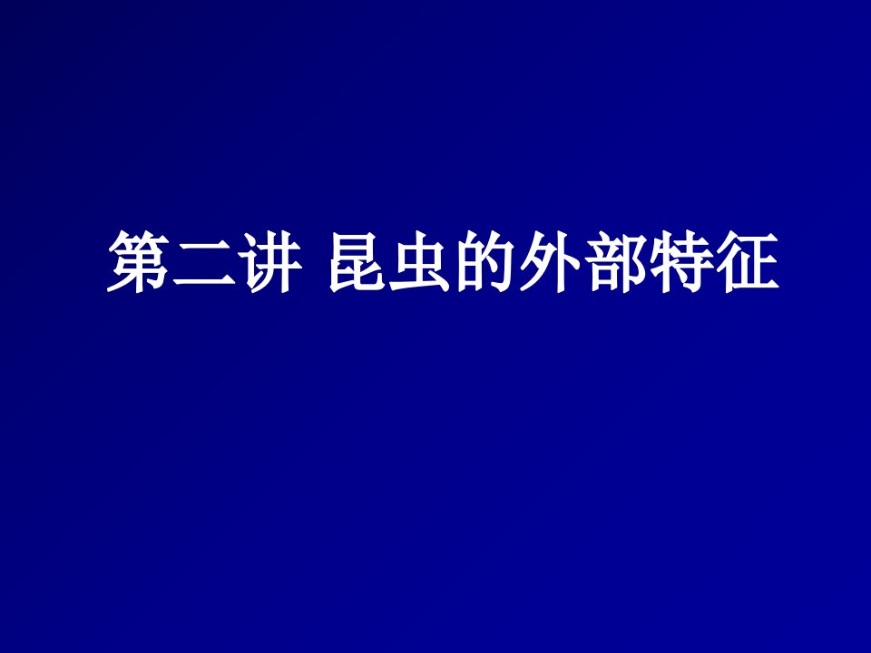 昆虫的外部特征