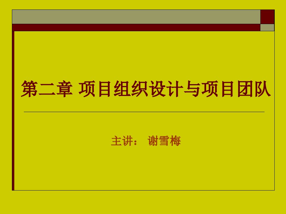 (2)项目组织设计与项目团队