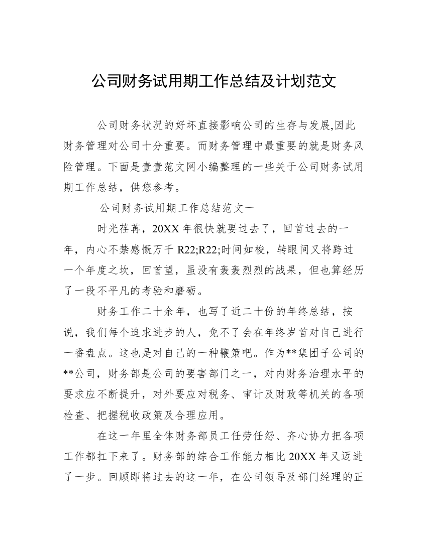 公司财务试用期工作总结及计划范文