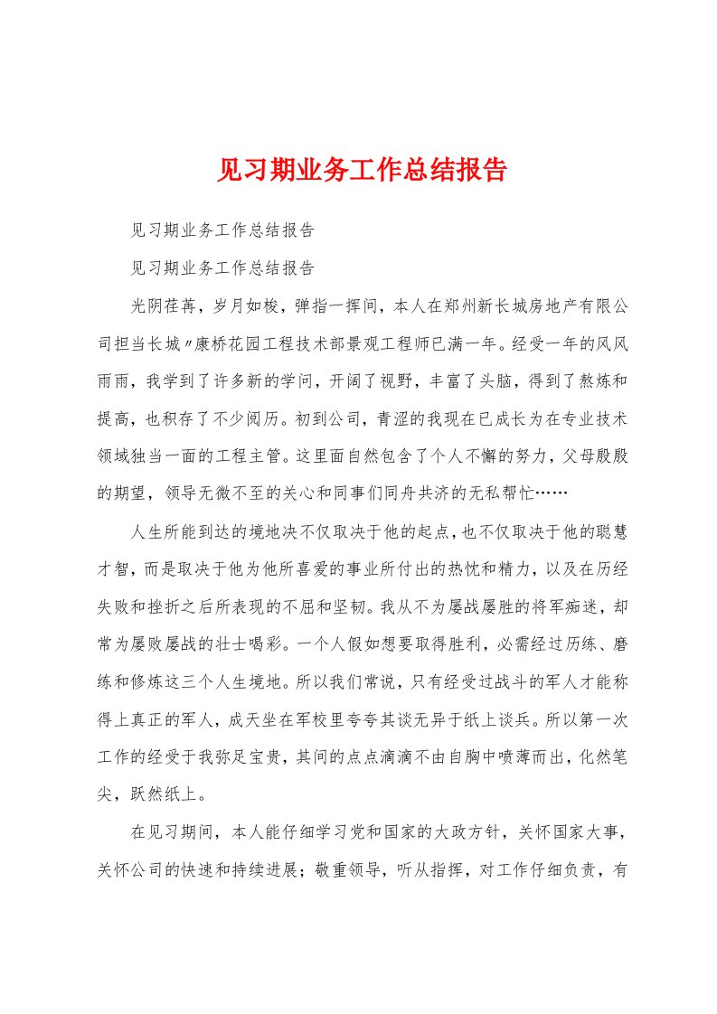 见习期业务工作总结报告