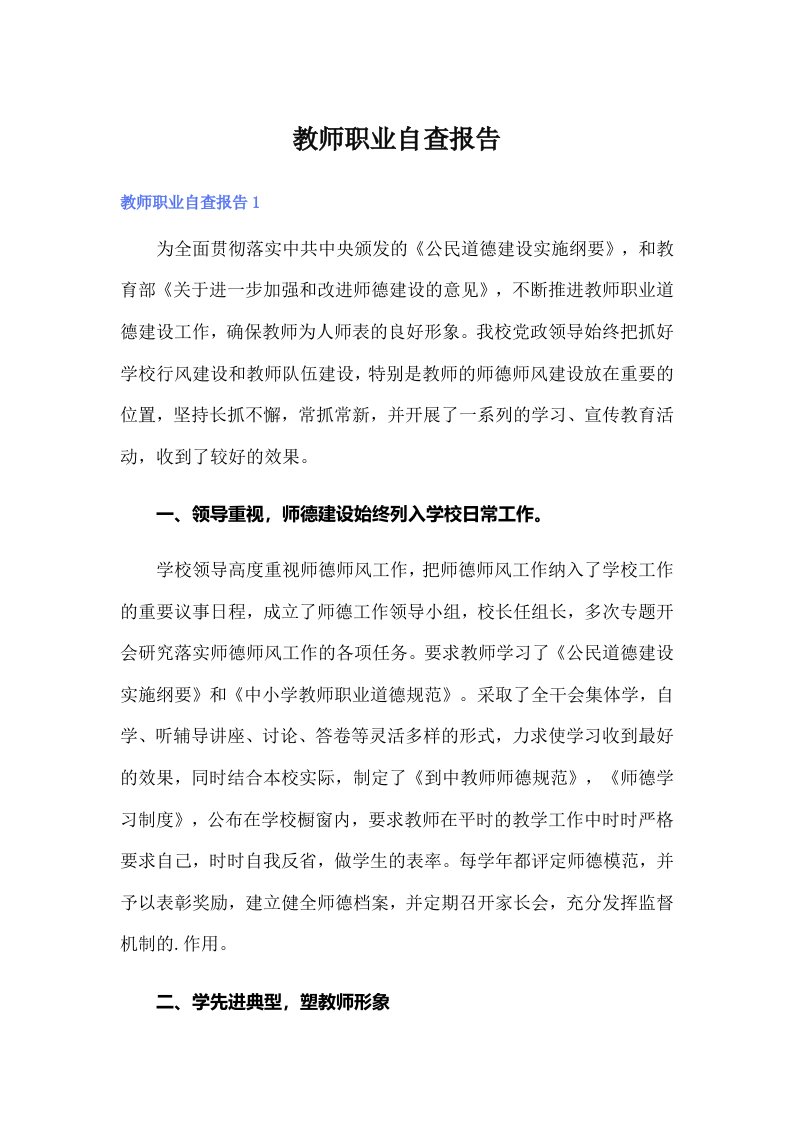 教师职业自查报告