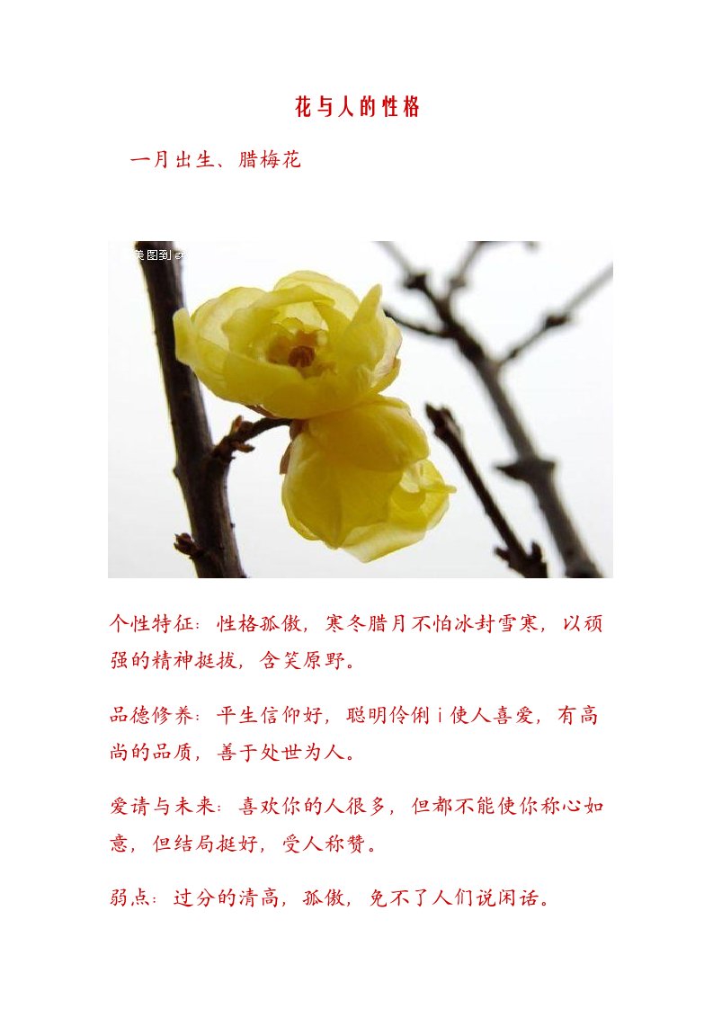 花与人的性格