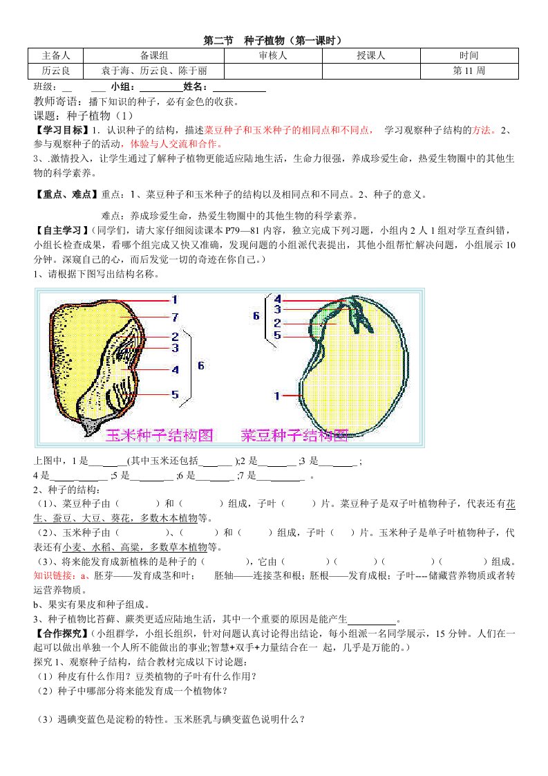 生物人教版七年级上册种子植物第一课时导学案及练习题