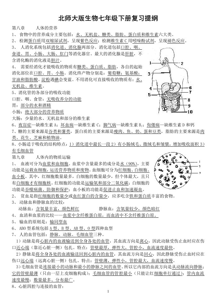 北师大版生物七下复习提纲