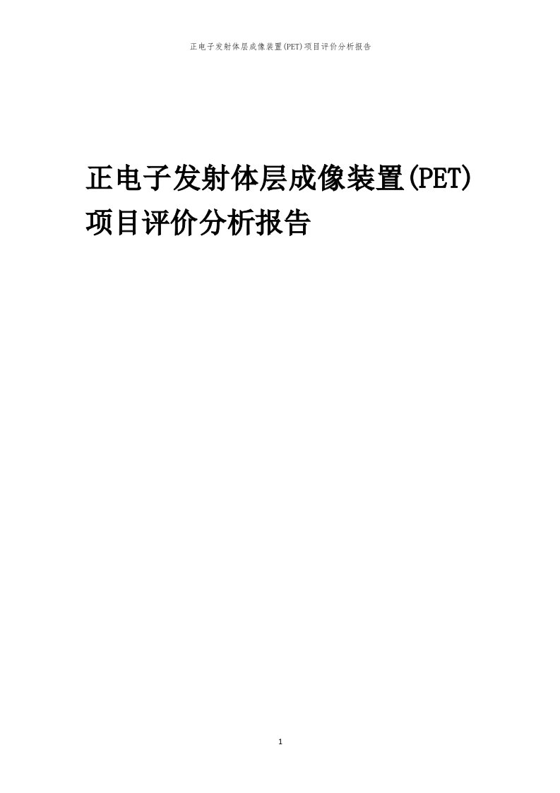 2024年正电子发射体层成像装置(PET)项目评价分析报告