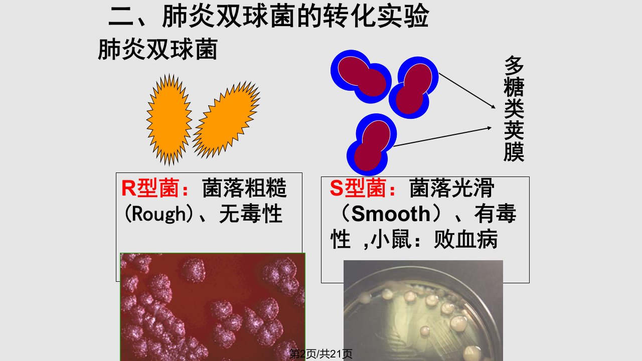 是主要的遗传物质上课用