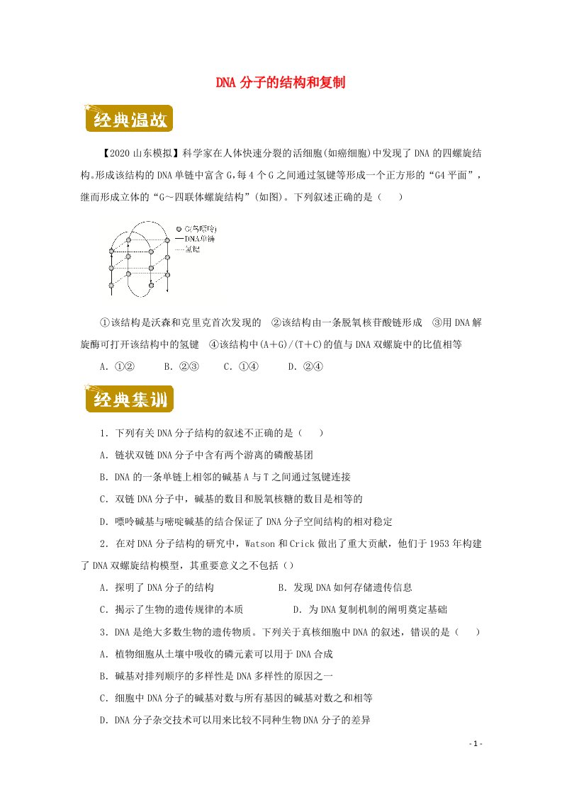 2020_2021学年高一生物下学期暑假训练5DNA分子的结构和复制含解析