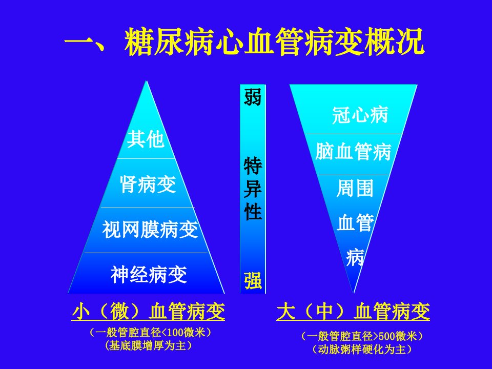 20糖尿病心血管病变PPT课件