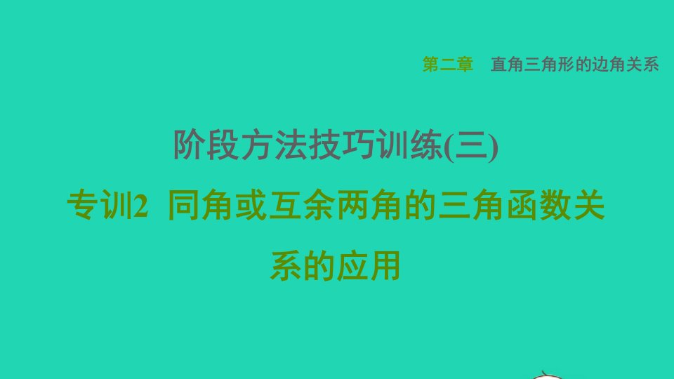 2021秋九年级数学上册第二章直角三角形的边角关系阶段方法技巧训练三专训2课件鲁教版五四制