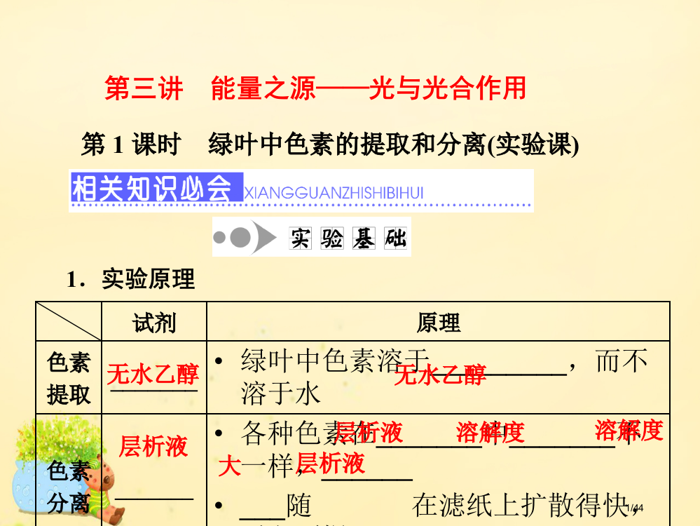 高三生物复习第三单元细胞的能量供应和利用第三讲能量之源-光与光合作用第一课时绿叶中色素的提取和分离实