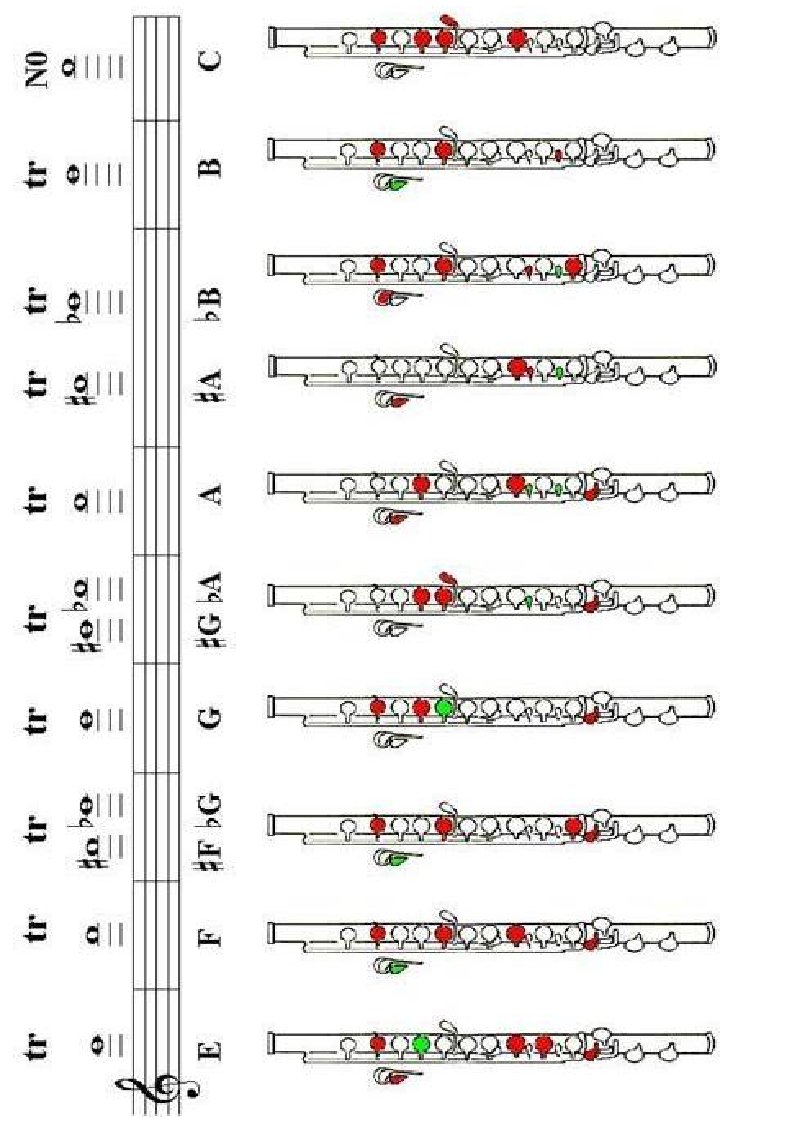 长笛颤音指法表