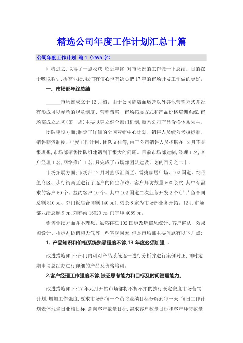 精选公司年度工作计划汇总十篇