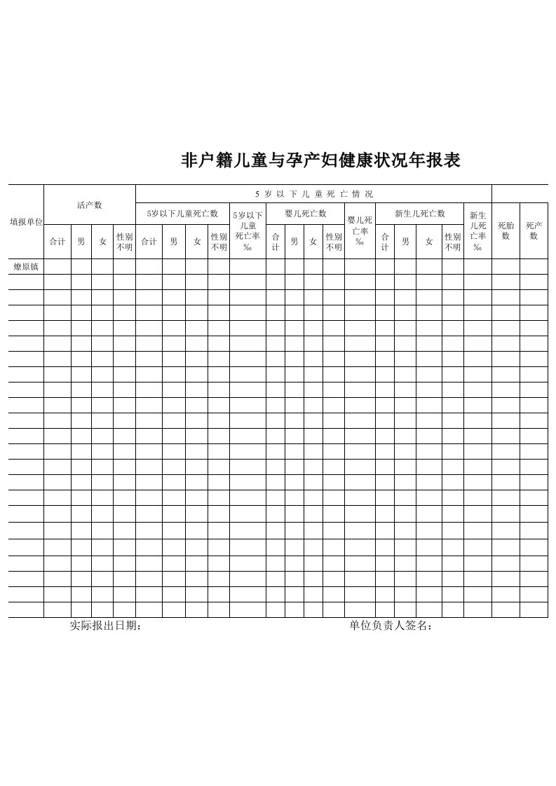 非户籍儿童与孕产妇健康状况年报表