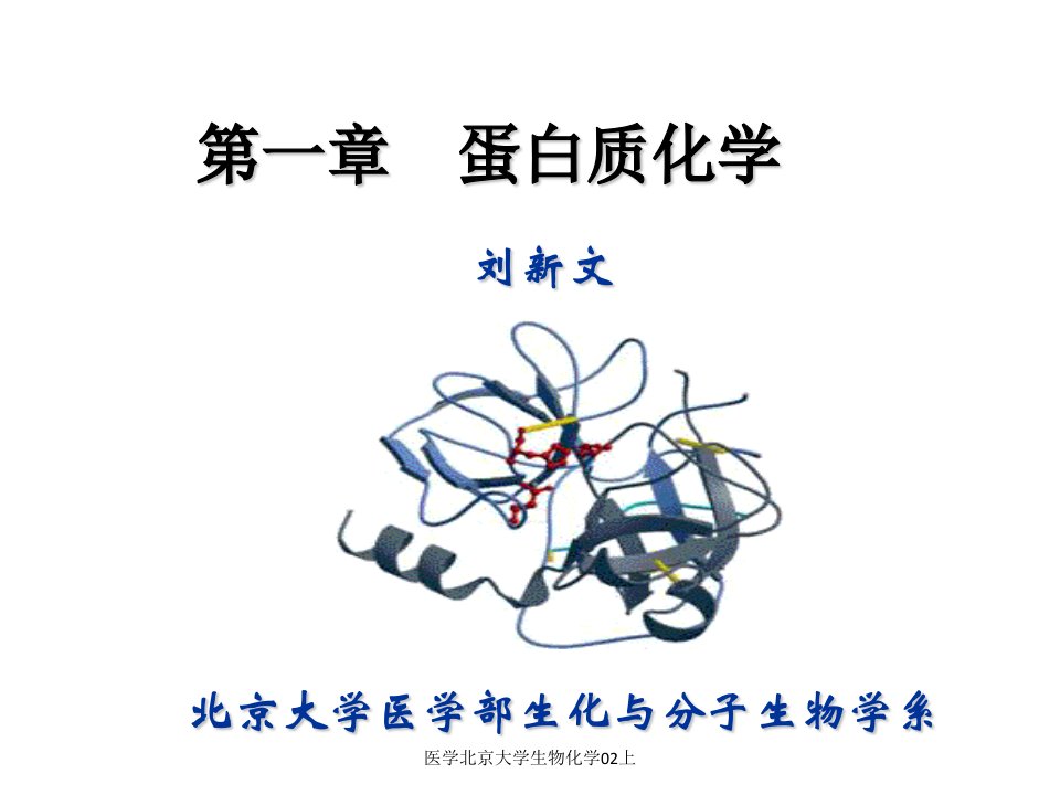 医学北京大学生物化学02上课件