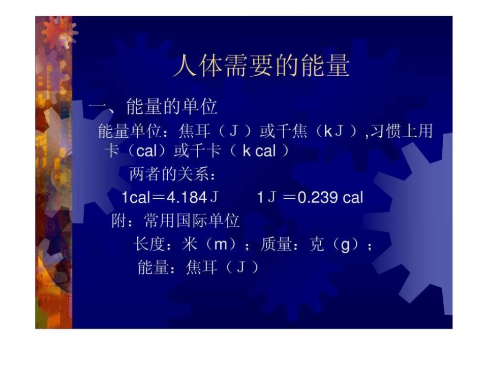 营养学基础人体需要的能量.ppt