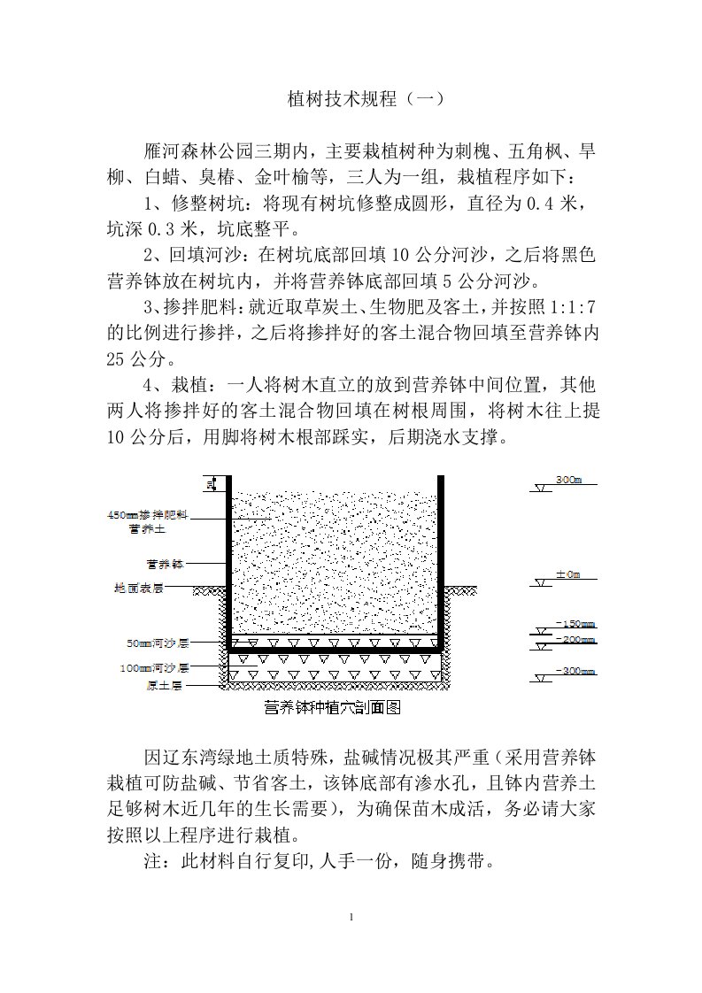 植树技术规程