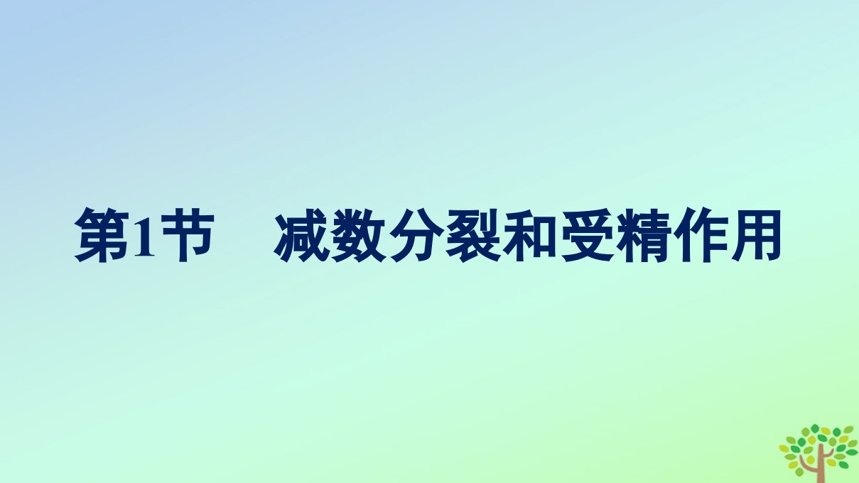 新教材适用高中生物第2章基因和染色体的关系第1节减数分裂和受精作用第1课时减数分裂课件新人教版必修2