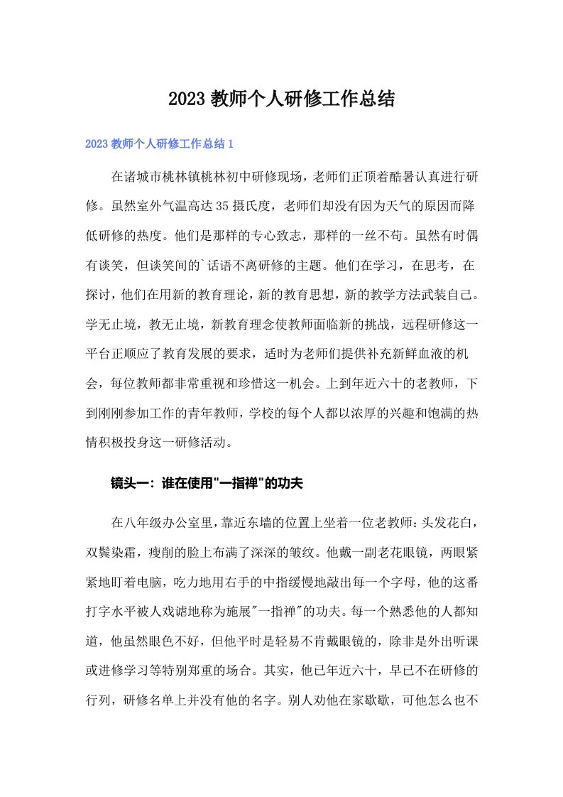 2023教师个人研修工作总结