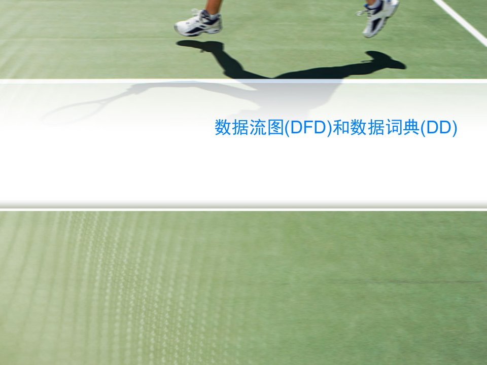 数据流图(DFD)和数据词典(DD)