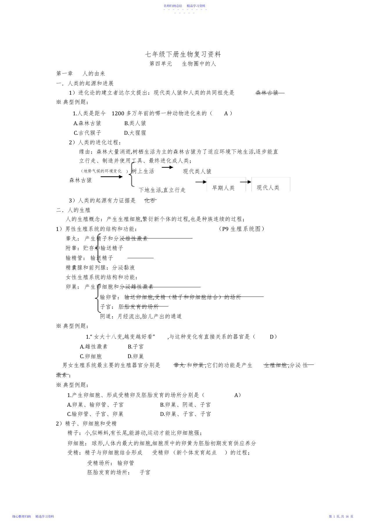 2022年七年级下册生物复习资料2