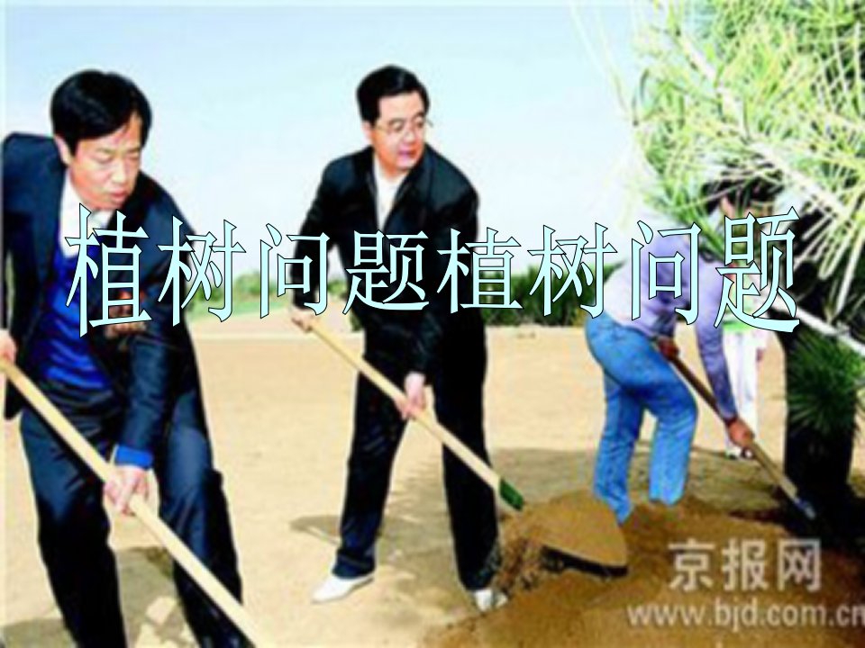 植树问题ppt课件