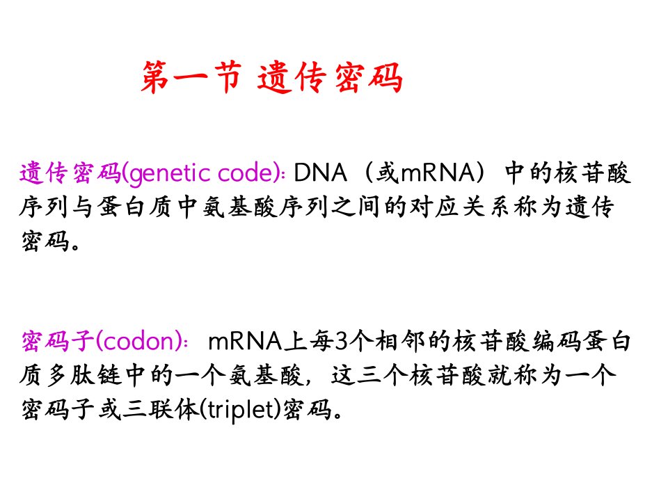 蛋白质的合成及转运