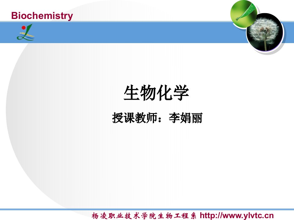 第7章核酸降解和核苷酸代谢