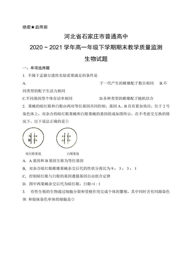 河北省石家庄市2020-2021学年高一下学期期末教学质量检测生物试题