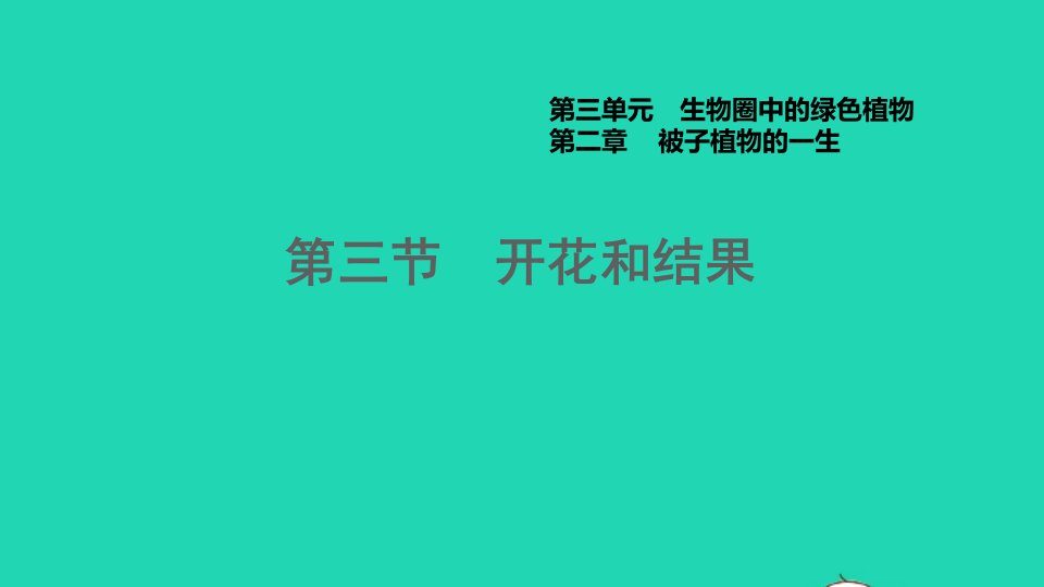 2021七年级生物上册第三单元生物圈中的绿色植物第二章被子植物的一生第3节开花和结果习题课件新版新人教版