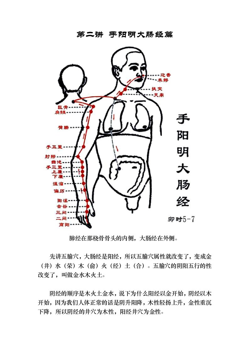 手阳明大肠经篇