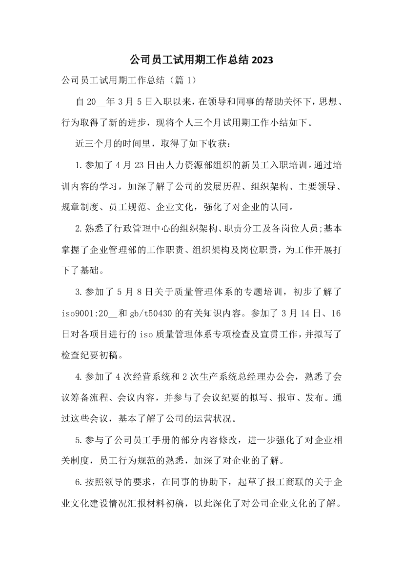 公司员工试用期工作总结2023