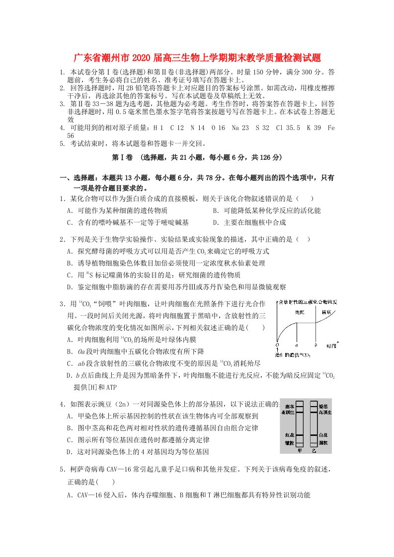 广东省潮州市2020届高三生物上学期期末教学质量检测试题