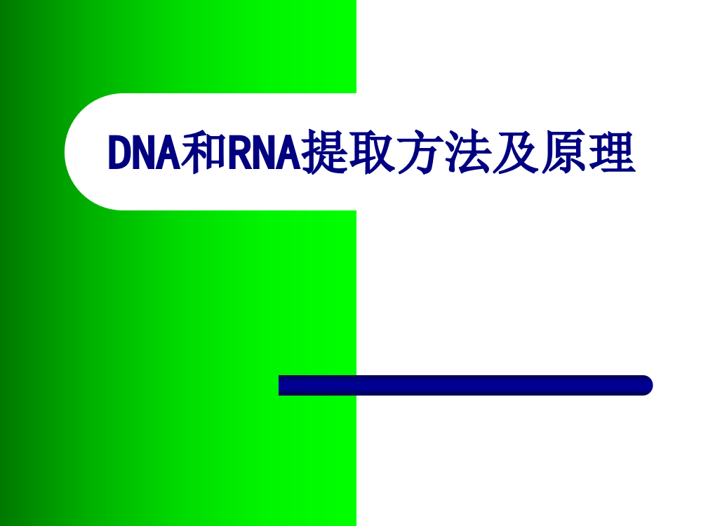 DNA和RNA提取方法及原理优质PPT课件