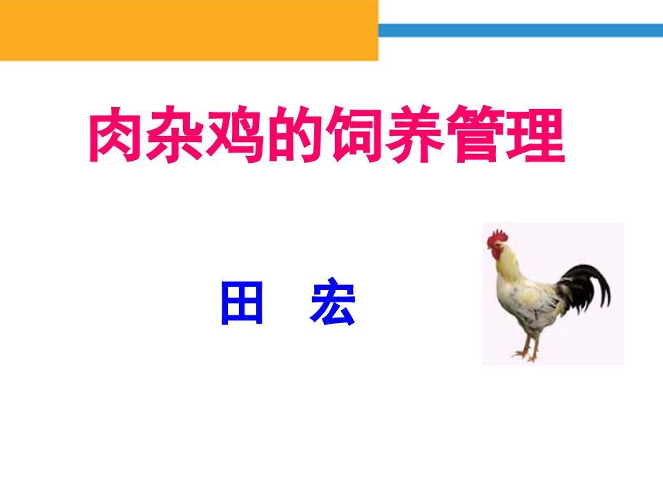 优质肉鸡的饲养管理PPT课件