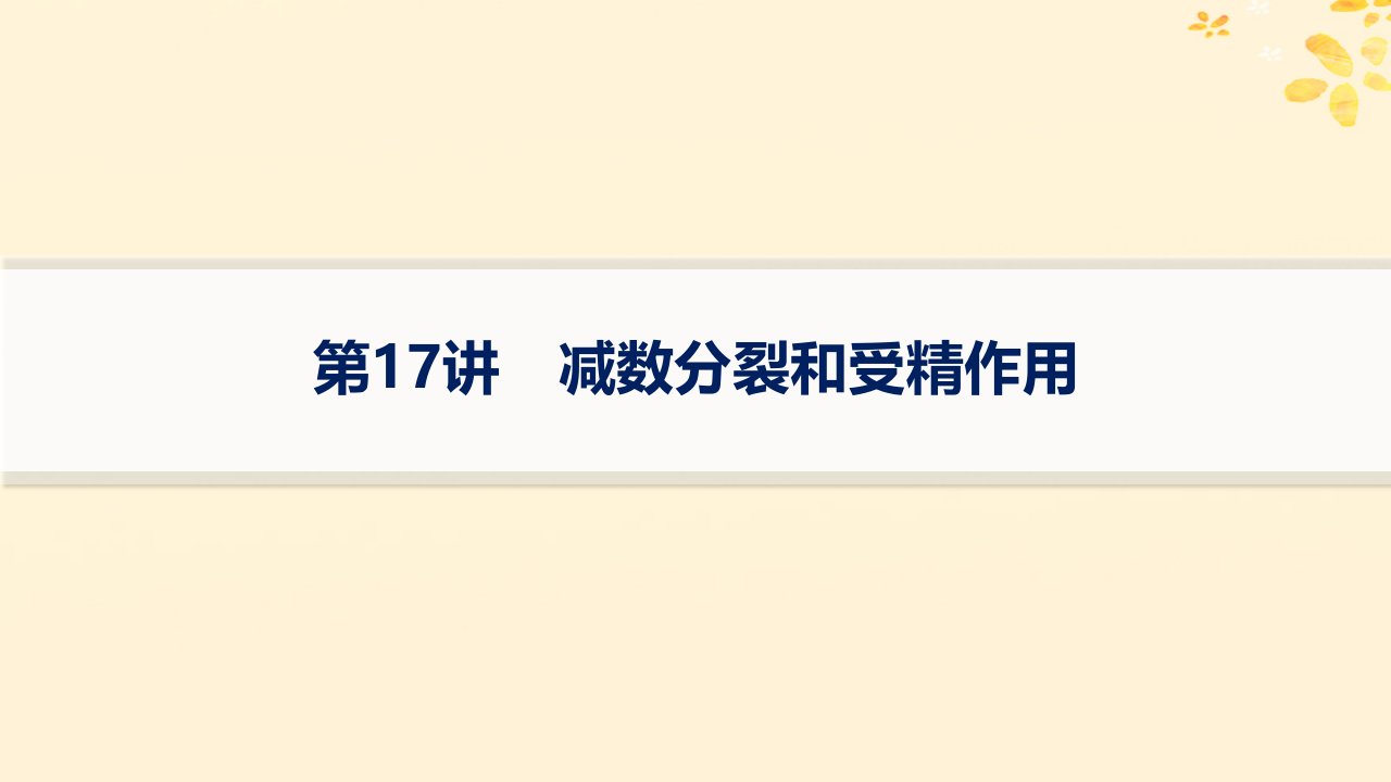 适用于新高考新教材备战2025届高考生物一轮总复习第4单元细胞的生命历程第17讲减数分裂和受精作用课件