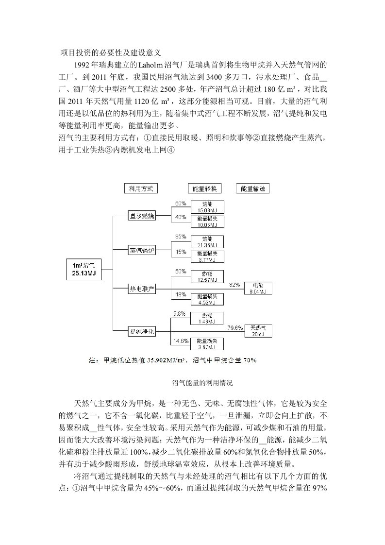 新能源科技沼气提纯项目