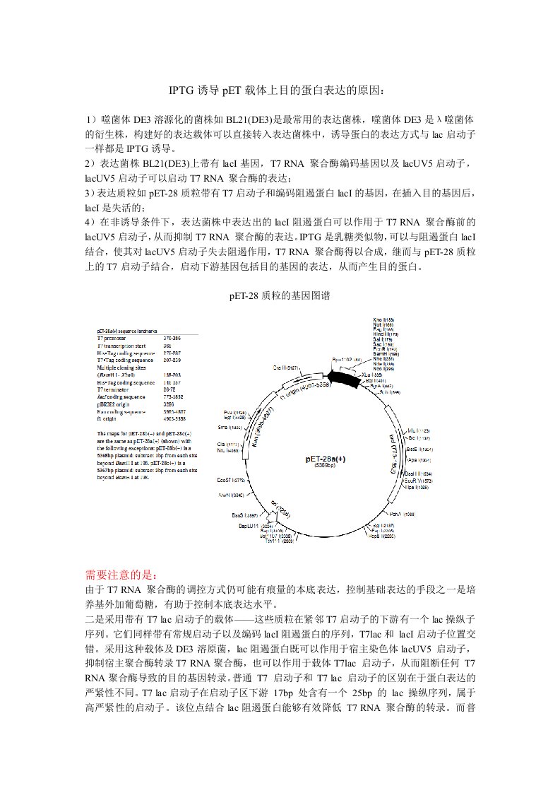 IPTG诱导pET载体上目的蛋白表达的原因