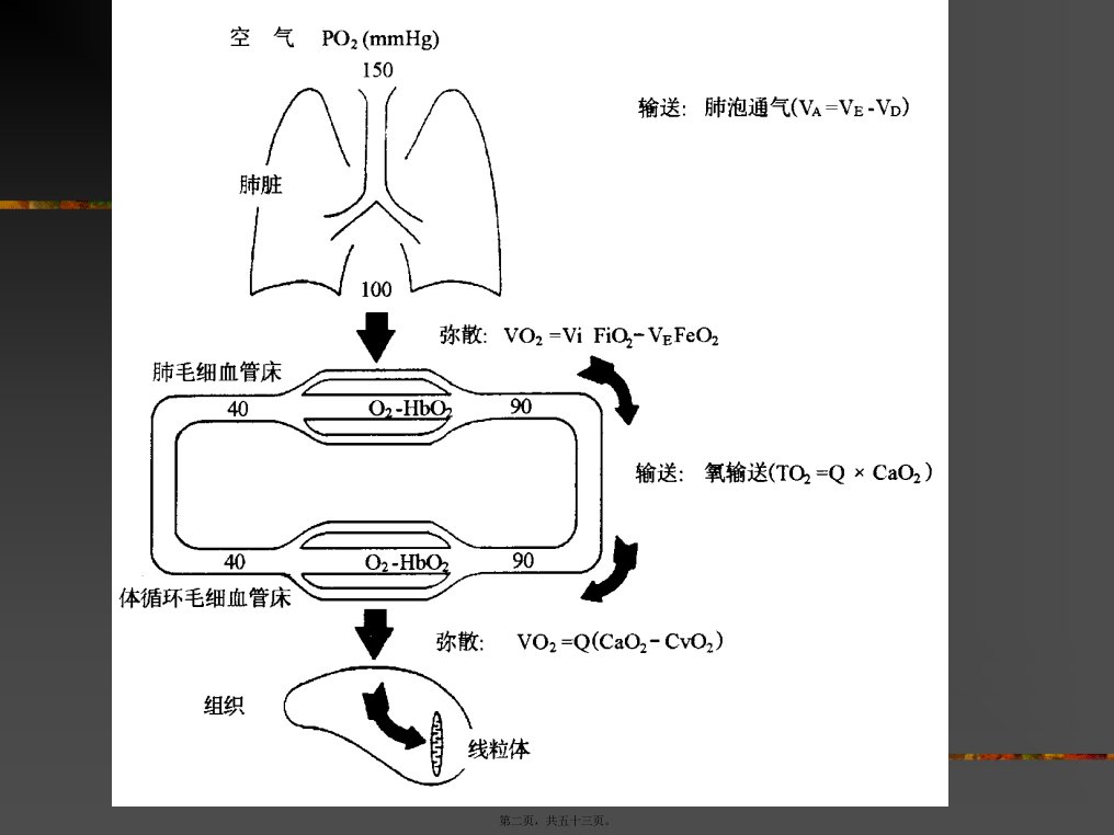 医学专题缺氧与氧疗