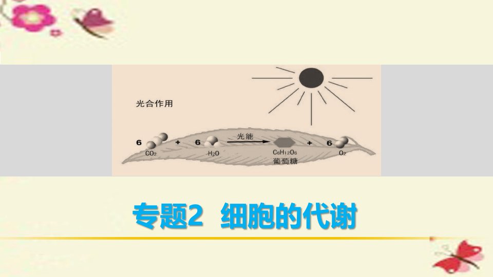 高考生物二轮复习