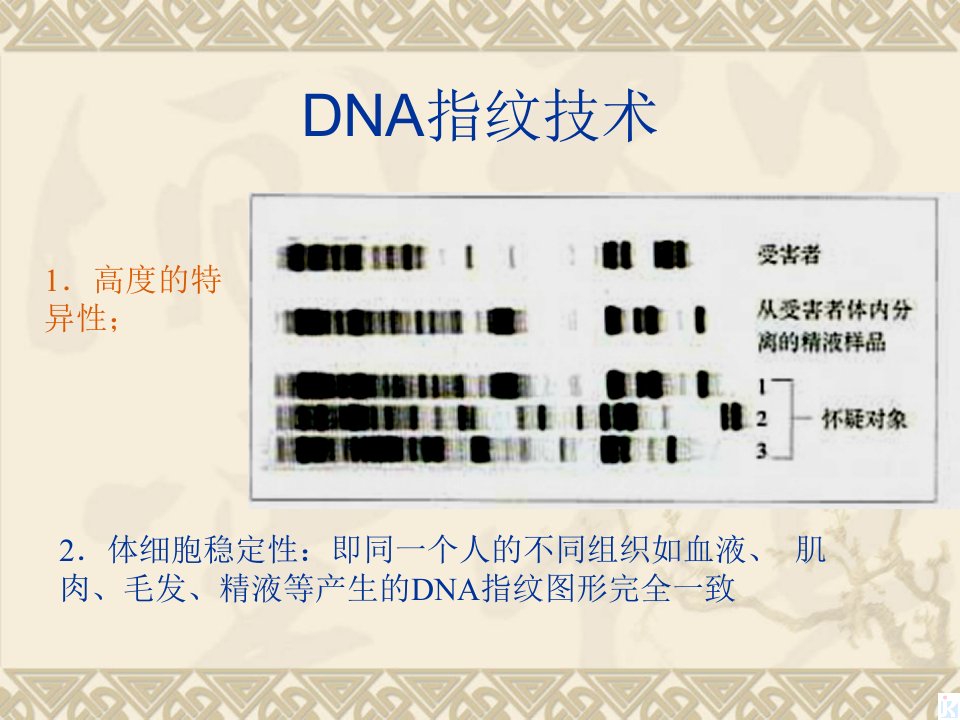 基因是有遗传效应的DNA片段课件新人教版必修2