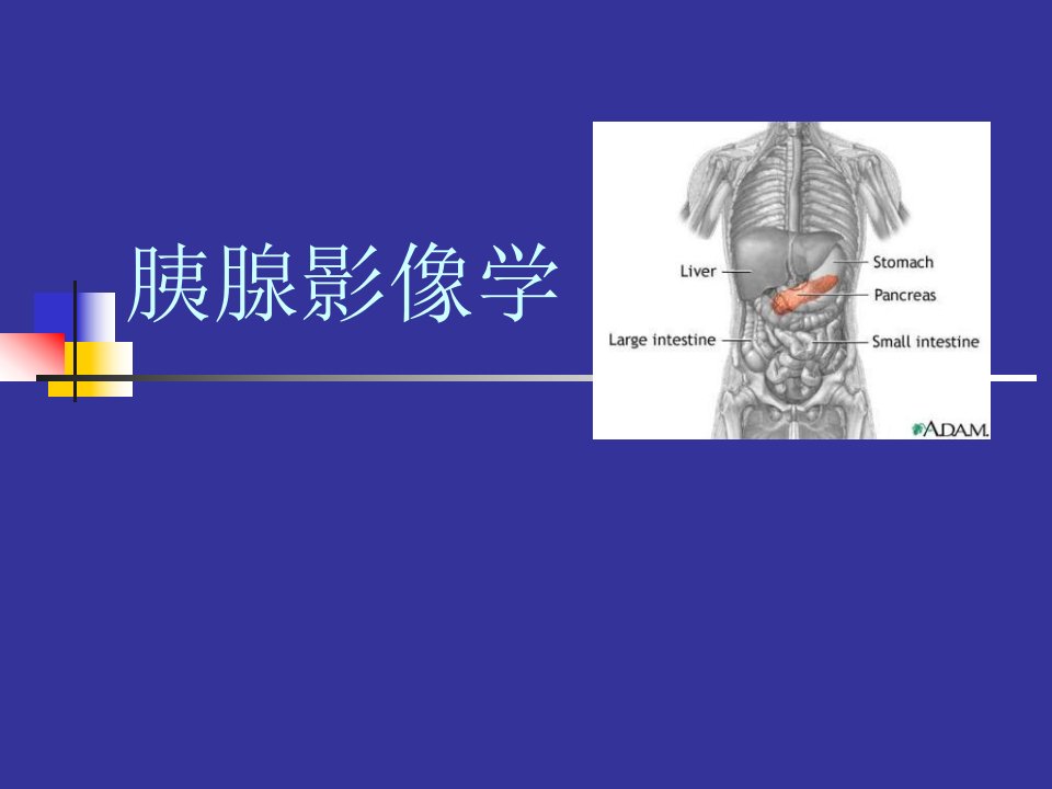 《胰腺影像学》PPT课件