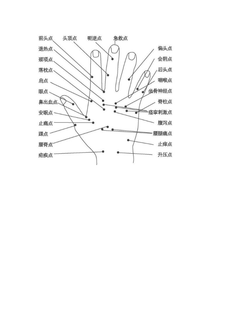 手掌、五脏对应示意图